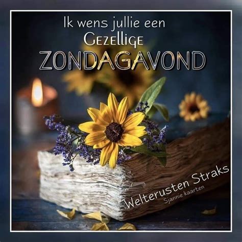 Pin Van Annelies Monsma Bruggers Op Goodnight Zondagavond Zondag