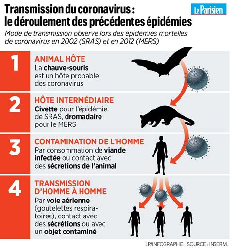 Nouveau virus en Chine comment lépidémie se propage t elle Le