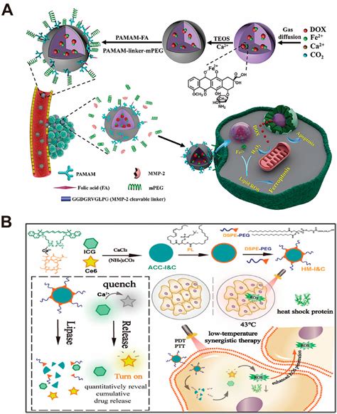 Figure 4 From Recent Developments In Caco3 Nano Drug Delivery Systems