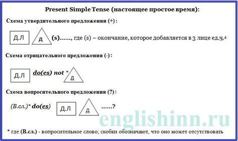 Present Simple Упражнения - vpremium
