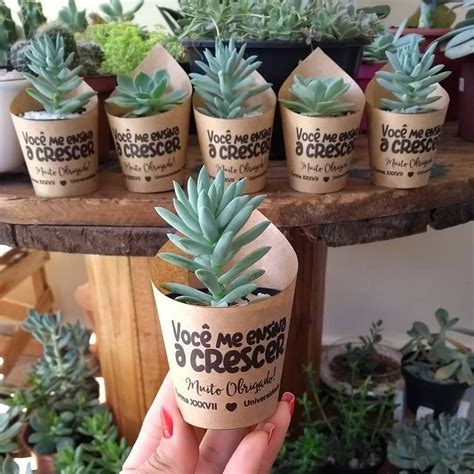 Cultivo De Cactos E Suculentas On Instagram Que Tal Ter Um Manual