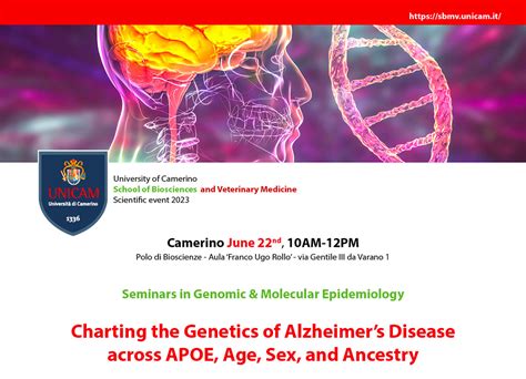 Charting The Genetics Of Alzheimers Disease Across Apoe Age Sex And