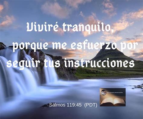 Sumergidos En La Palabra De Dios Salmos Me Esfuerzo A Seguir La