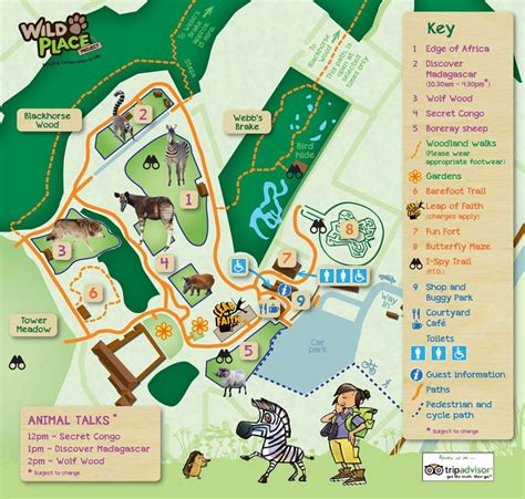 Wild Place Project - Where To Go With Kids - Bristol