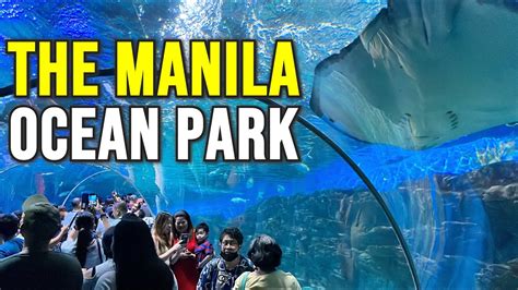 Tips When Visiting Manila Ocean Park Tina In Manila, 52% OFF