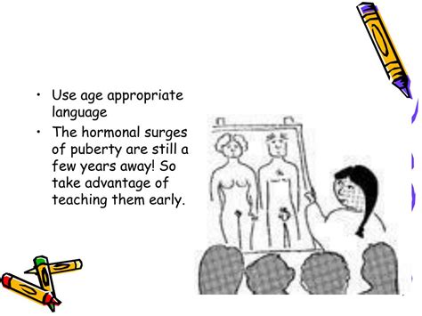 Ppt Preschool Sex Education Powerpoint Presentation Free Download Id 6101446