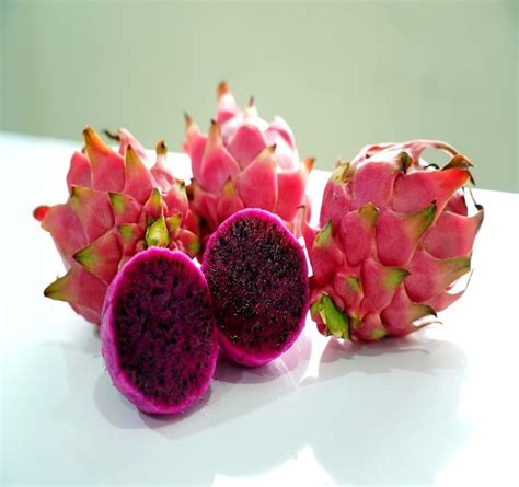 For First Time Dragon Fruit Grown By Farmers Of Gujarat West Bengal