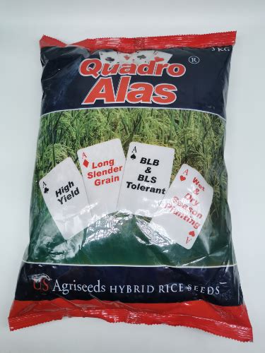 Quadro Alas Hybrid Rice Seeds 3 Kilograms Pack By Seedworks Lazada Ph