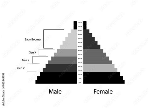 Vetor De Population And Demography Population Pyramids Chart Or Age