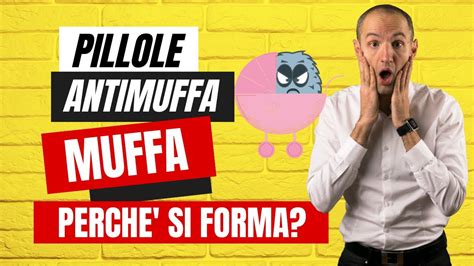 PILLOLE ANTIMUFFA Perchè si forma la muffa YouTube