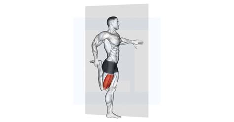 Standing Quadriceps Stretch - Guide, Benefits, and Form