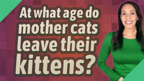 At What Age Do Mother Cats Leave Their Kittens Youtube