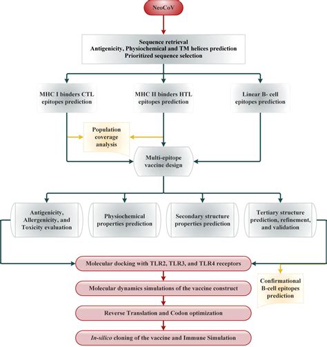 Frontiers Exploring Whole Proteome To Contrive Multi Epitope Based