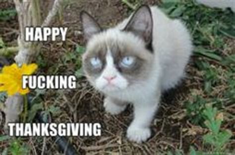 1000+ images about Grumpy Cat Thanksgiving on Pinterest | Grumpy cat, Thanksgiving and Grumpy ...