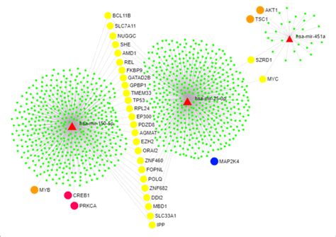 Mirna Target Gene Network Genes That Modulate The Pi3k Akt And Mapk