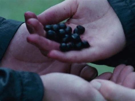 The Hunger Games Nightlock Berries Scene | Hunger games katniss, Hunger ...