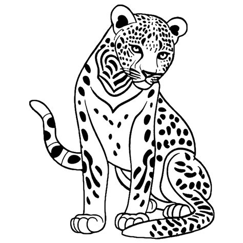 Hand Drawn Leopard Outline Illustration Coloring Page · Creative Fabrica