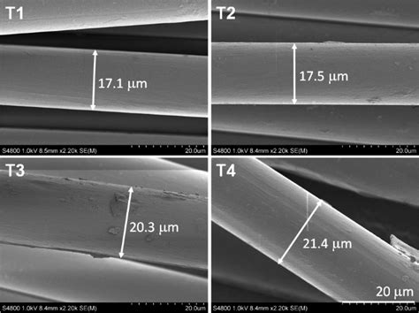 Poly L Lactide And Poly L Lactide Co Trimethylene Carbonate Melt Spun