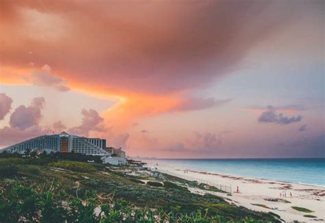 Playa Delfines C Mo Llegar Qu Hacer Consejos Y M S