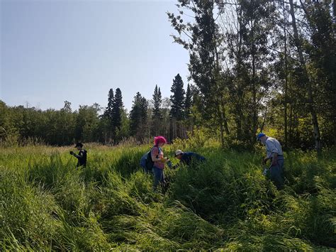 Planting For Pollinators At The Smith Blackburn Homestead Edmonton