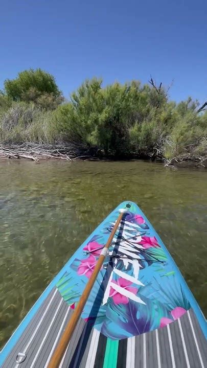 Clearwater And Laidout Tanning On Mojave Lake ☀️💦⛵️👙 Youtube