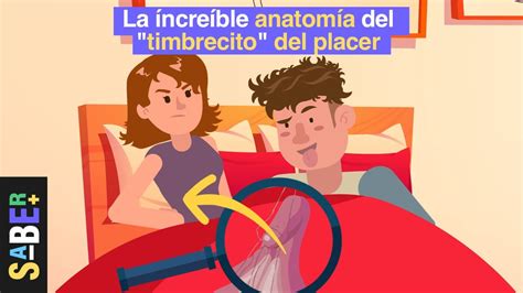 La increíble anatomía del botoncito del placer YouTube