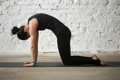 Yoga Para Iniciantes As Melhores Posturas De Yoga