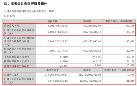 泰禾上半年亏了203亿，手握现金近18亿，负债超2000亿！项目上市公司股东院子