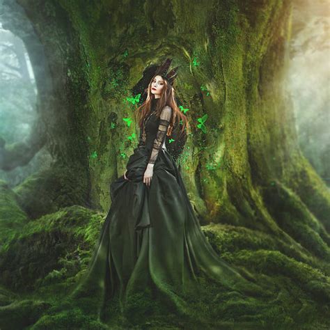 Best Fairy Queen Stock Photos Pictures And Royalty Free Images Istock