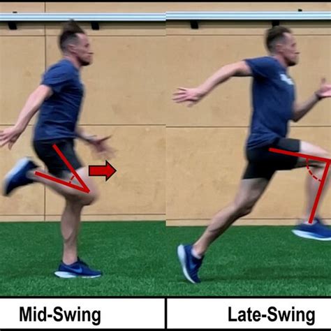 Pictorial Representation Of Lower Limb Kinematics Across Phases Of The