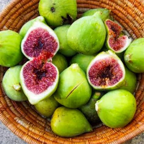 Инжир Адриатический Белый Ficus carica Adriatic White - купить саженцы ...