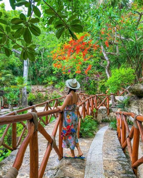 Xcaret desde Abjasia Lo Que Necesitas Saber El Rincón de Edy