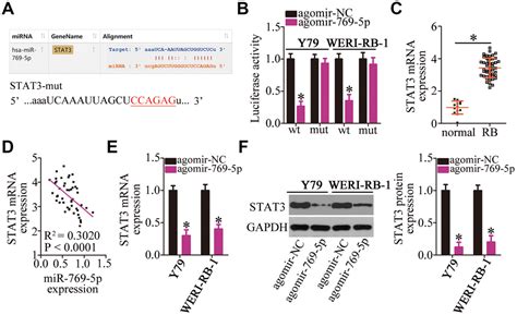 Long Noncoding Rna Linc Promotes Retinoblastoma Progression By