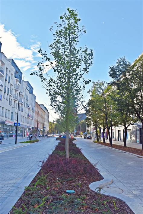 Galeria Aleja Wojska Polskiego W Szczecinie