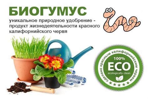 Биогумус для огурцов: применение подкормки и описание удобрения