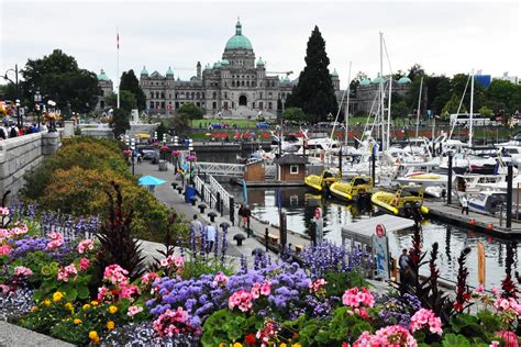 A Coffee Drinker's Guide To Victoria, British Columbia