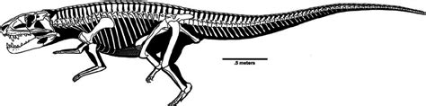 Skeletal Restoration Of Postosuchus Kirkpatricki Download