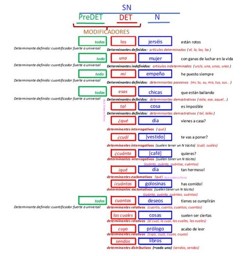 Lenguayliteraturap Los Determinantes SegÚn La Ngle
