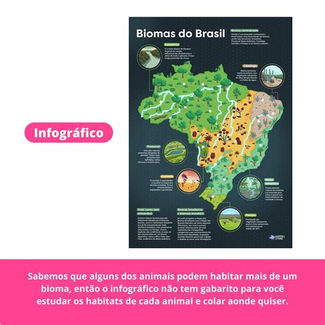 Infogr Fico Interativo Biomas Do Brasil