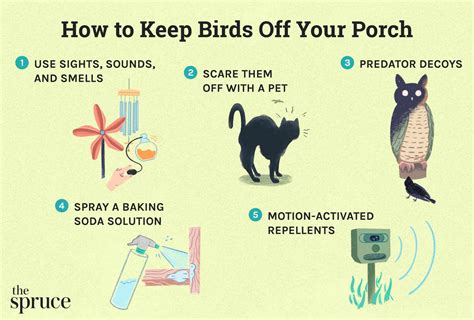 How To Keep Birds Off Your Porch