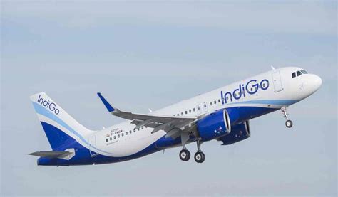 Hyderabad Maldives Route Reopens Indigo Offers Direct Flights