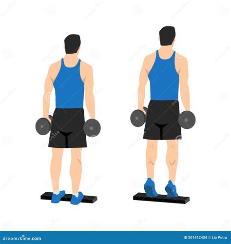 Man Doing Standing Dumbbell Calf Raises Exercise Flat Vector