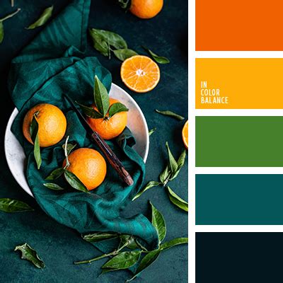 апельсиновый цвет | IN COLOR BALANCE