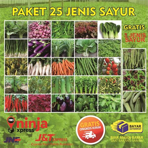 Jenis Tanaman Sayuran Homecare24