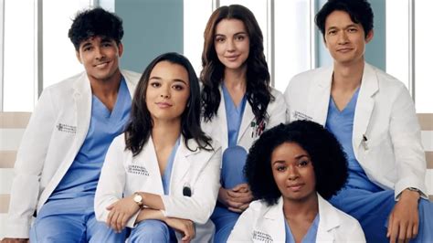 Grey s Anatomy vai deixar o catálogo da Netflix saiba onde assistir