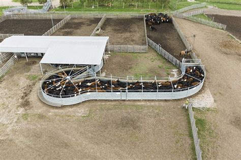 Instalaci N Para Feedlot En Uruguay Farmquip Argentina