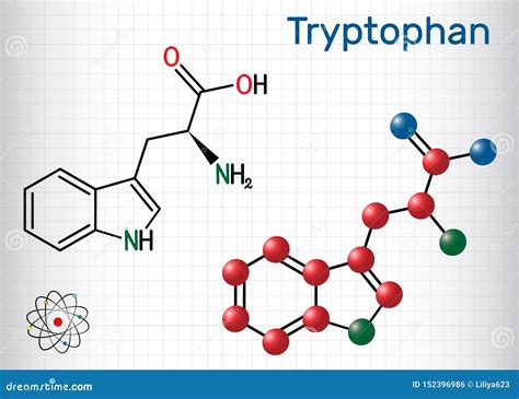 Tryptophan Trp Or W Amino Acid Molecule Is Used In The Biosynthesis