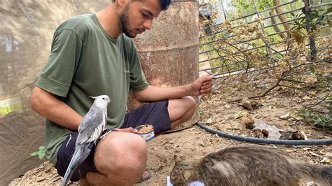 Help Me Save My Family and Complete My Education | Chuffed | Non-profit