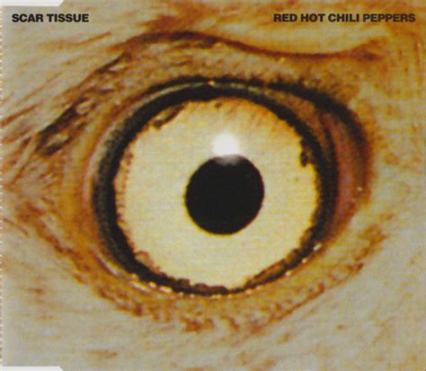 Red Hot Chili Peppers Scar Tissue Lyrics Genius Lyrics