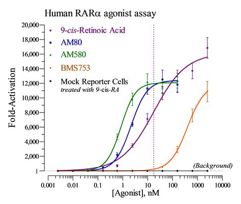 Human Rara Reporter Assay Kit Indigo Biosciences